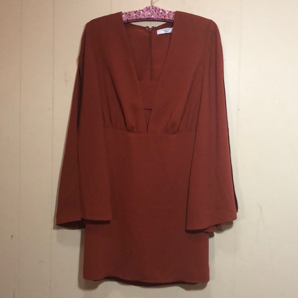 Burnt Orange Dress w/ long sleeves and zipper back